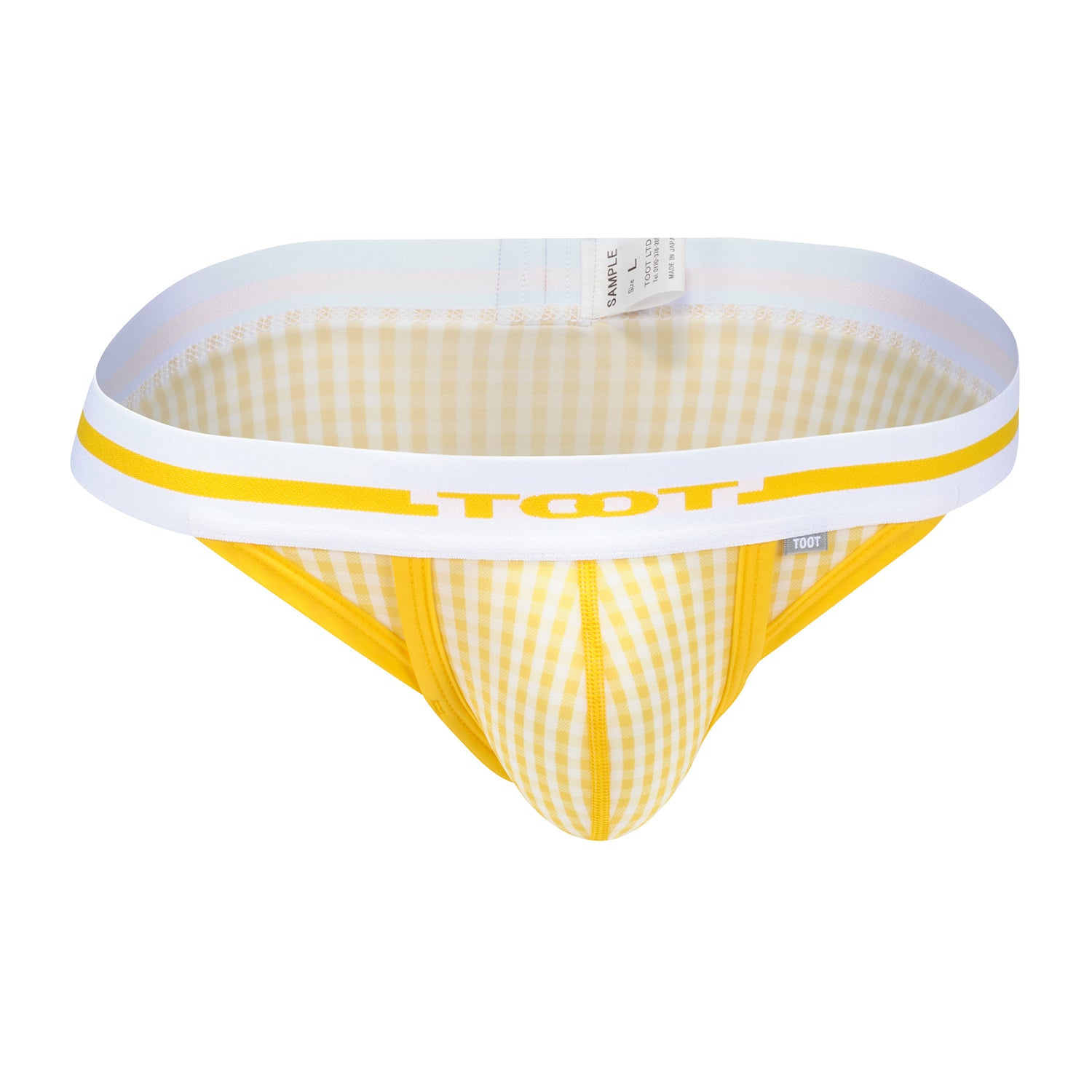 Gingham Check Bikini III