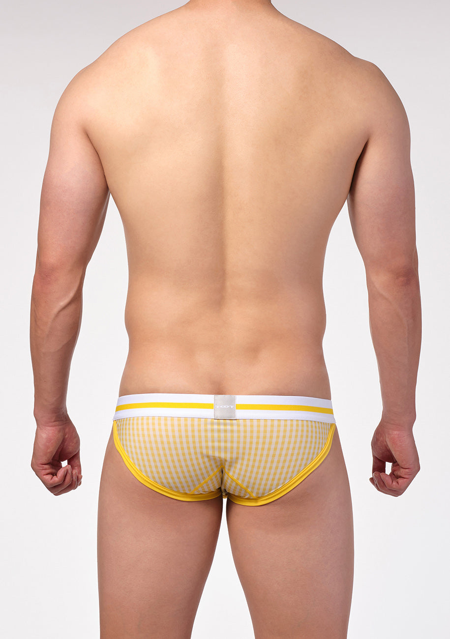 Gingham Check Bikini III