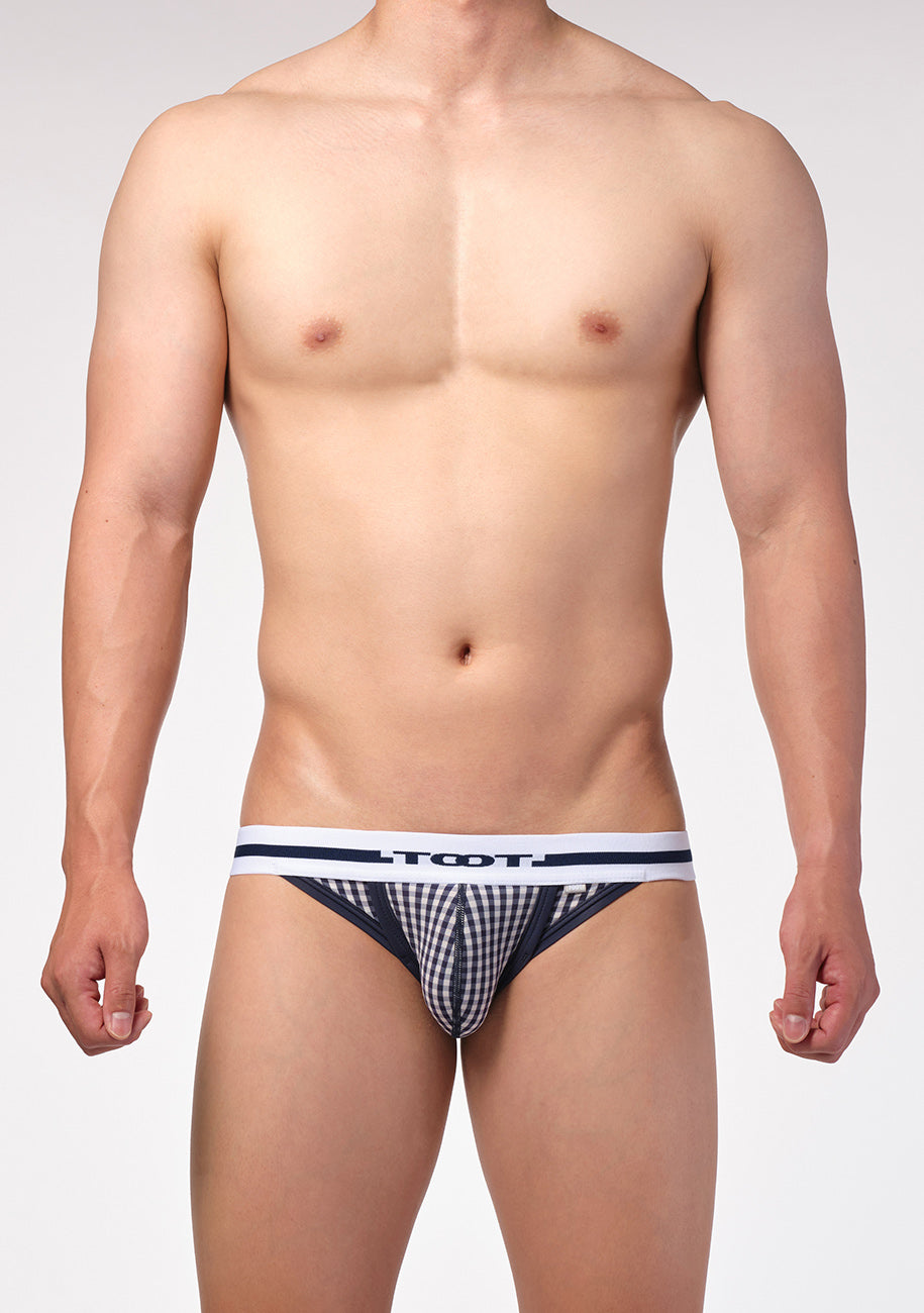 Gingham Check Bikini III