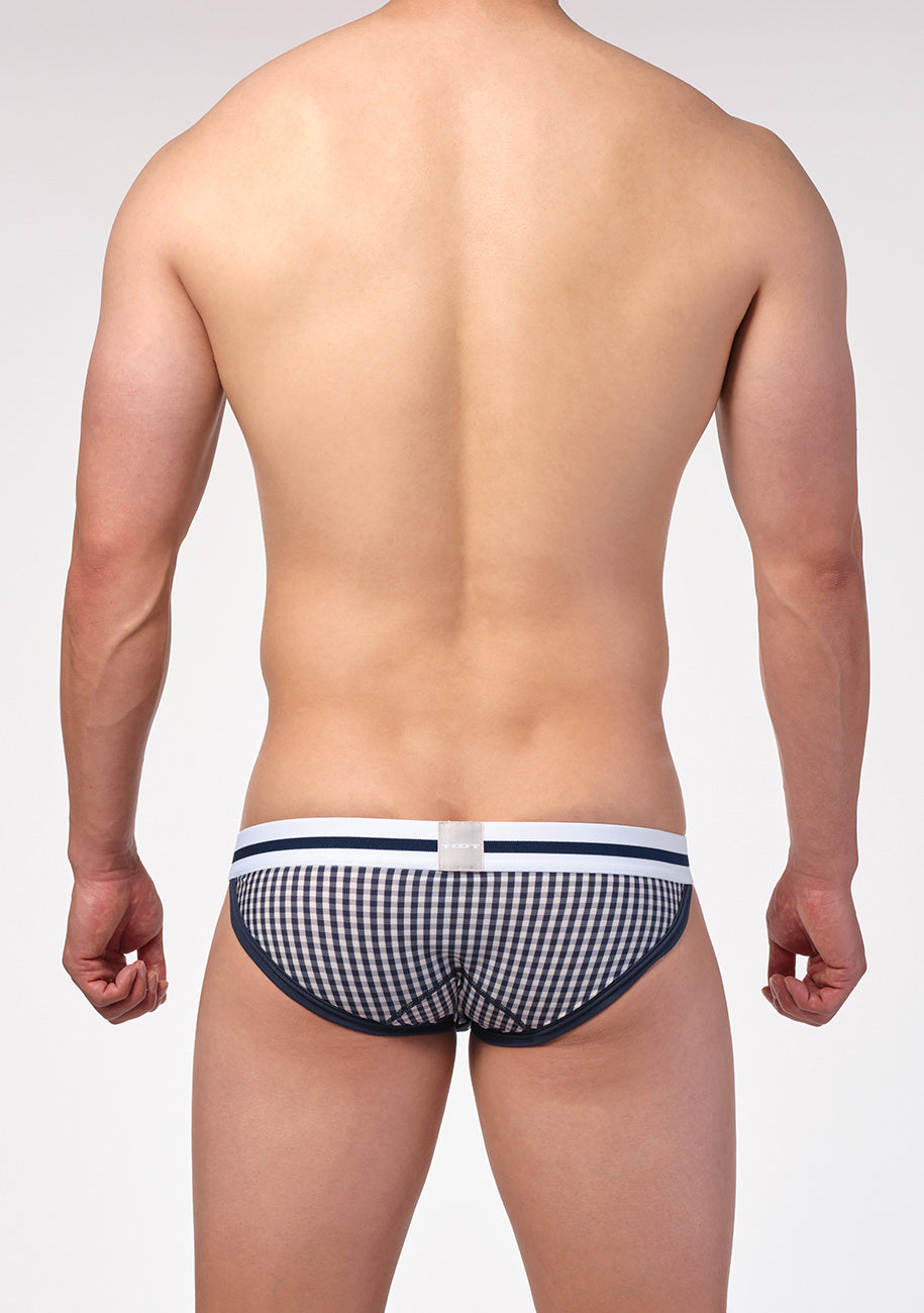 Gingham Check Bikini III