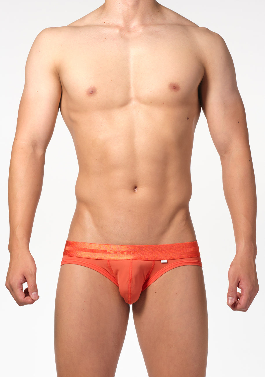 ReNEW TOOT NYLON BIKINI