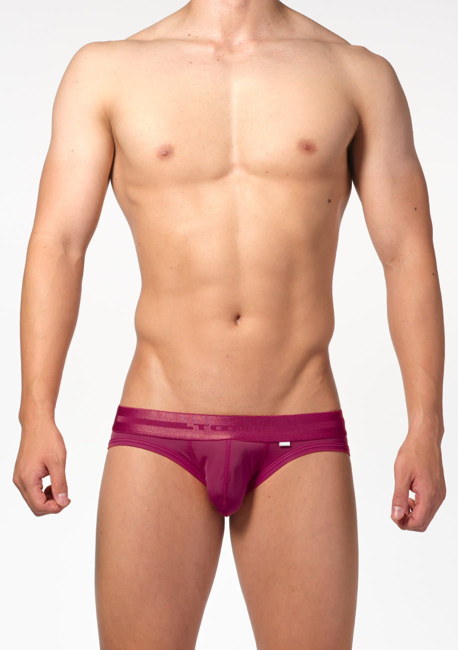 ReNEW TOOT NYLON BIKINI