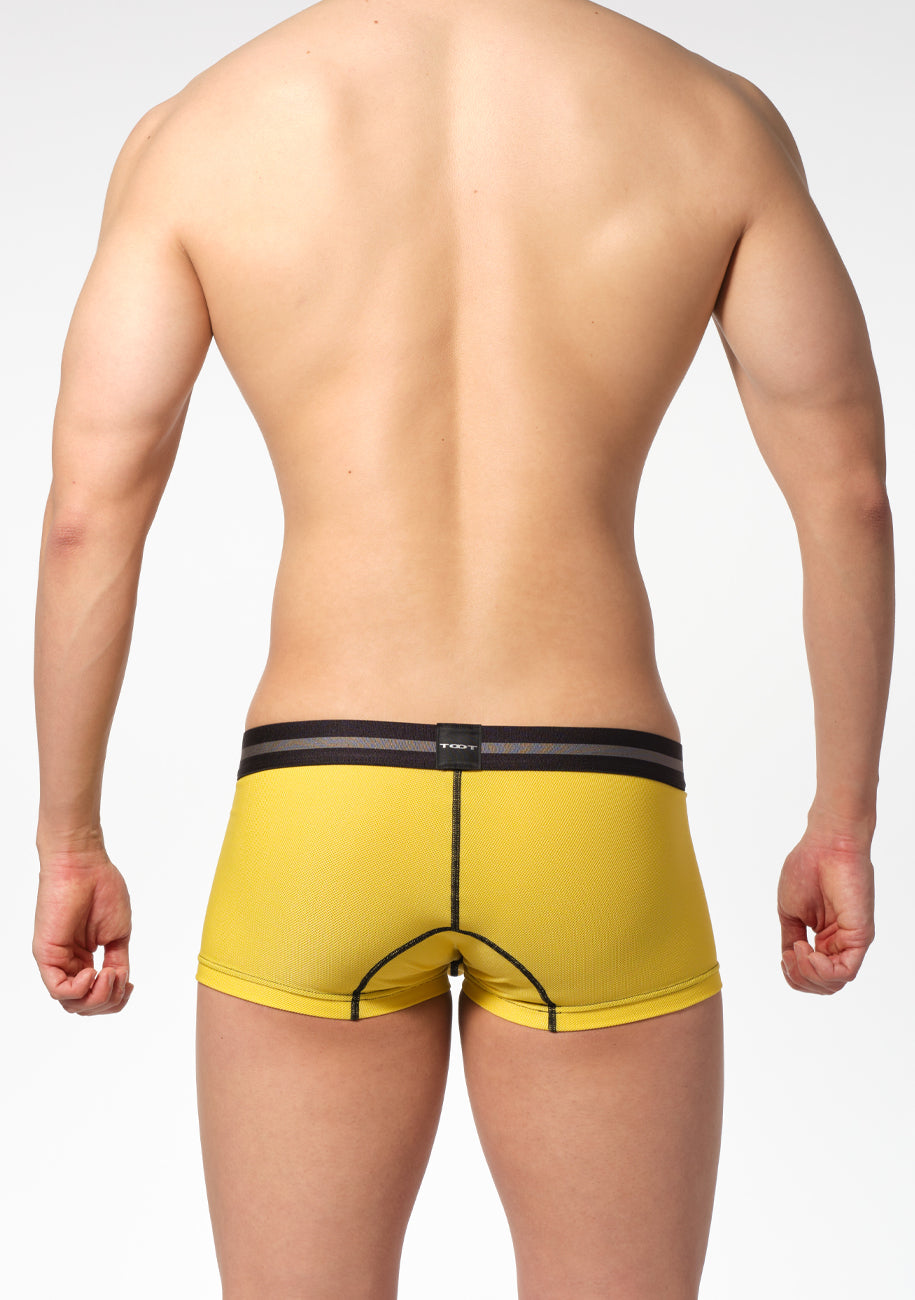 ReNEW TOOT MESH