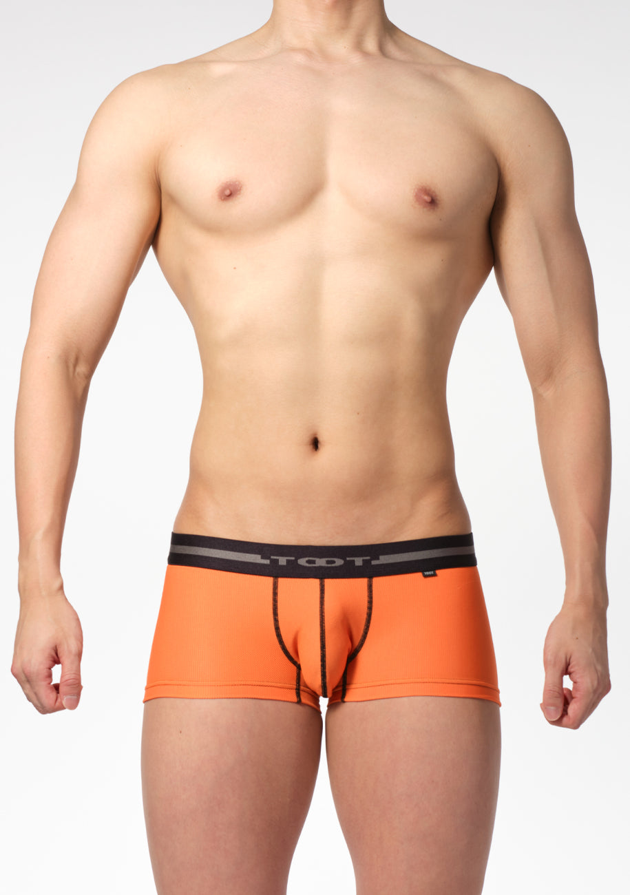 ReNEW TOOT MESH