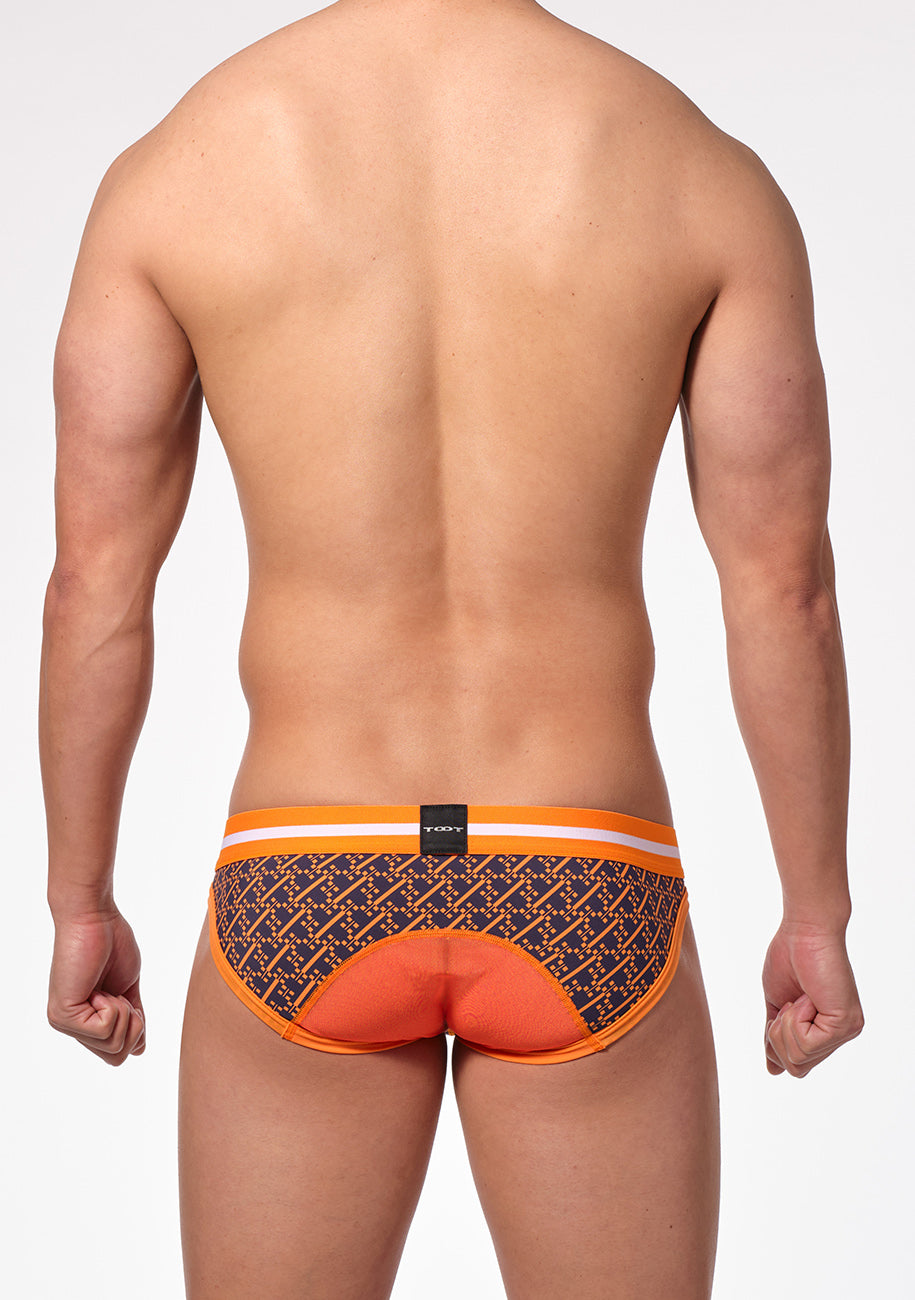 Net Gusset Bikini