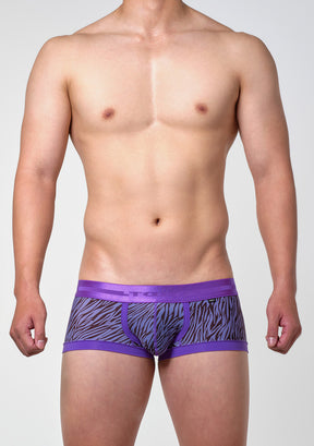 ゼブラ ボクサー