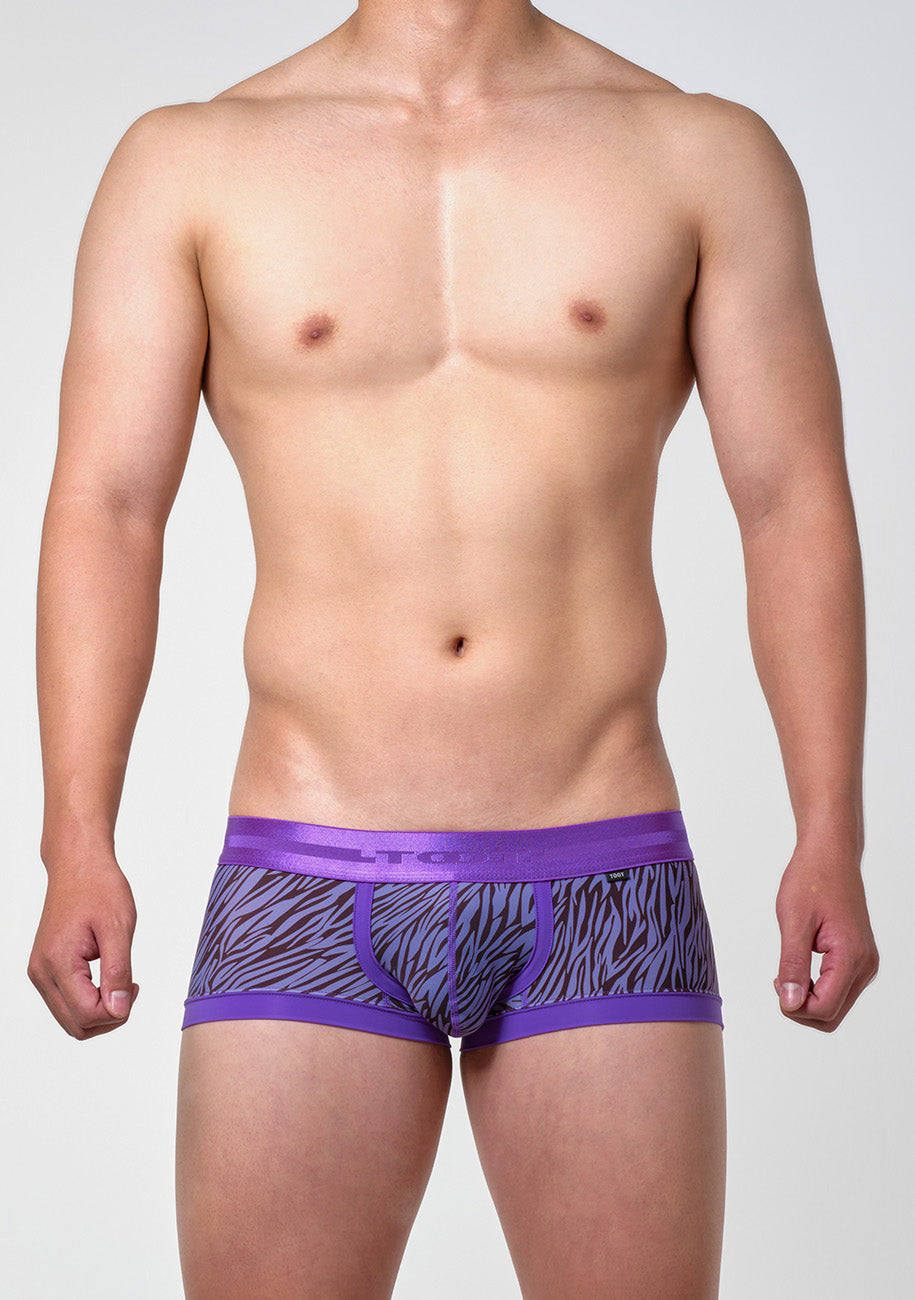 ゼブラ ボクサー