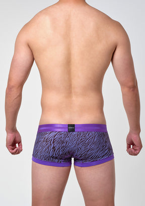 ゼブラ ボクサー