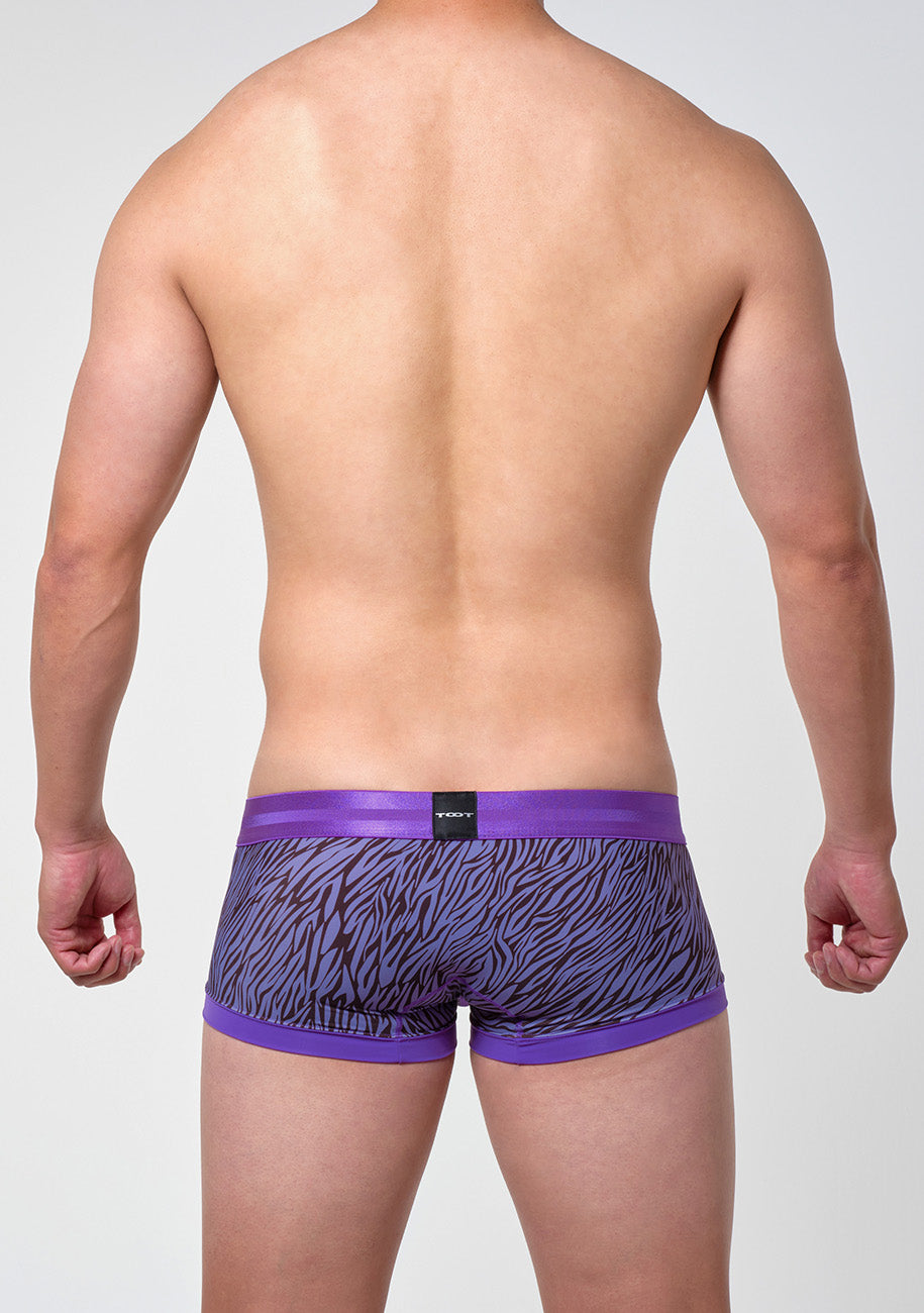 ゼブラ ボクサー