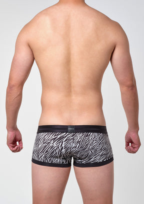 ゼブラ ボクサー