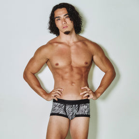 ゼブラ ボクサー