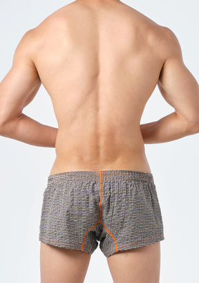 Color Stitched Gingham Fit Trunks