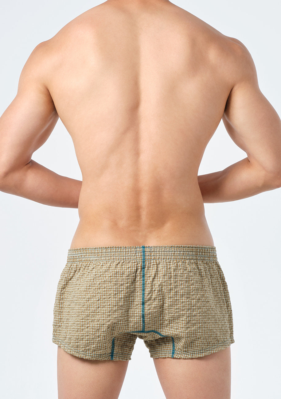Color Stitched Gingham Fit Trunks