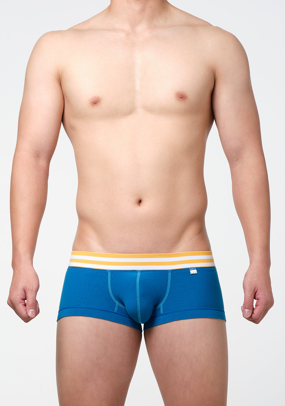 リバーシブル nano