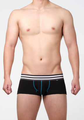 リバーシブル nano