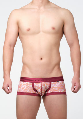 ハートカモ nano