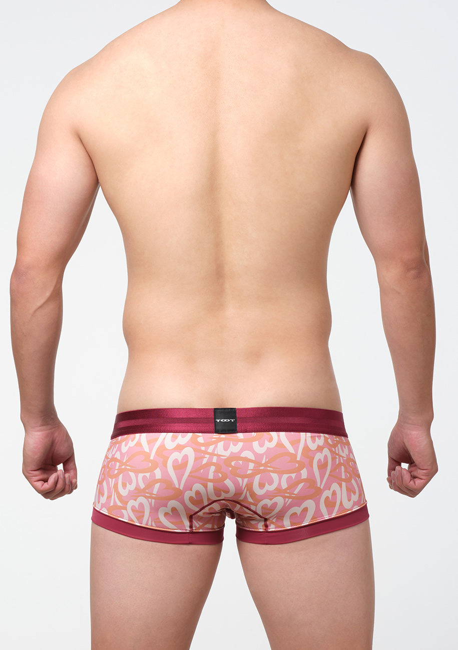 ハートカモ nano