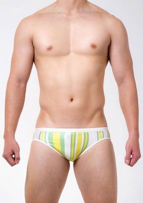 Summer Stripe Swim Bikini