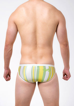 Summer Stripe Swim Bikini